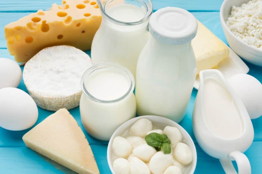 close-up-organic-milk-with-gourmet-cheese close-up-organic-milk-with-gourmet-cheese